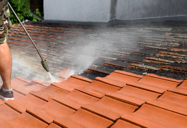 Best Affordable Power Washing  in Raleigh Hills, OR
